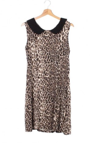 Kleid Next, Größe XL, Farbe Mehrfarbig, Preis € 24,99