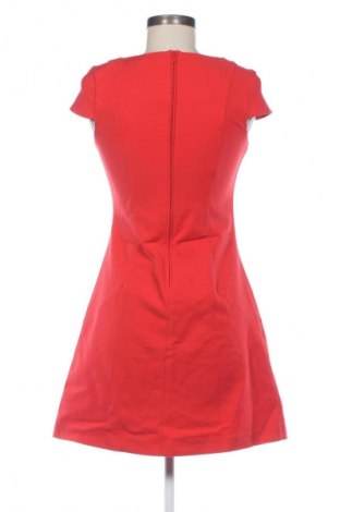 Kleid Orsay, Größe S, Farbe Orange, Preis € 26,85