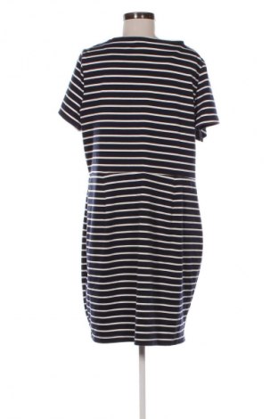 Φόρεμα Papaya, Μέγεθος XXL, Χρώμα Μπλέ, Τιμή 13,99 €