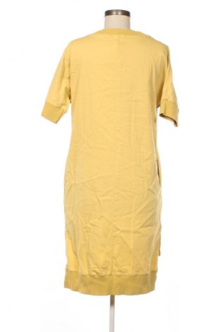 Kleid Pause Jeans, Größe S, Farbe Mehrfarbig, Preis € 25,00