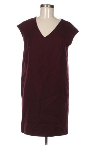 Kleid Phase Eight, Größe M, Farbe Rot, Preis € 26,18