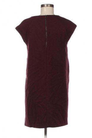 Kleid Phase Eight, Größe M, Farbe Rot, Preis € 26,18