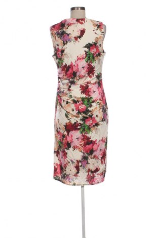 Kleid Phase Eight, Größe XL, Farbe Mehrfarbig, Preis € 41,99