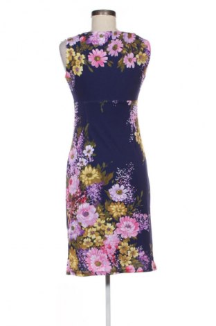 Kleid Phase Eight, Größe S, Farbe Mehrfarbig, Preis € 19,41