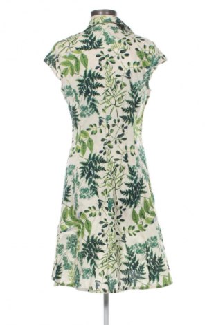 Kleid Sweet Miss, Größe L, Farbe Mehrfarbig, Preis € 27,99