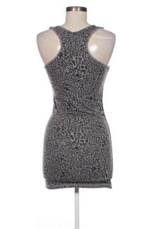 Kleid Terranova, Größe S, Farbe Mehrfarbig, Preis € 19,95