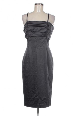 Kleid Tiger Of Sweden, Größe M, Farbe Grau, Preis 77,26 €