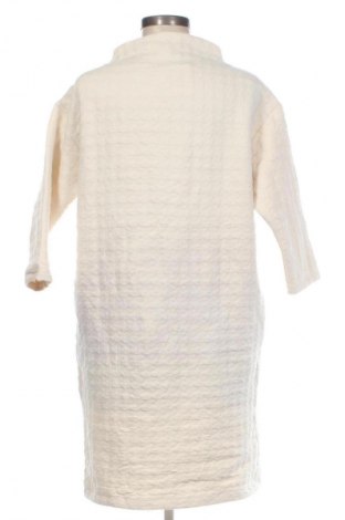 Kleid Uniqlo, Größe L, Farbe Ecru, Preis € 14,99
