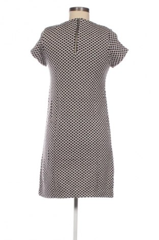 Kleid Zara, Größe M, Farbe Mehrfarbig, Preis € 37,40