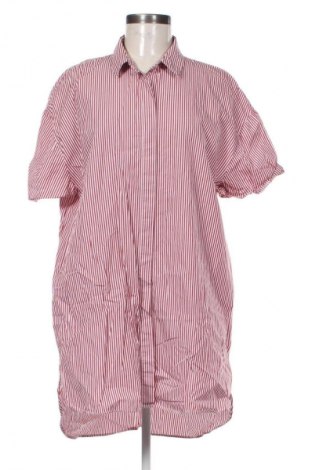 Kleid Zara, Größe L, Farbe Mehrfarbig, Preis € 17,46