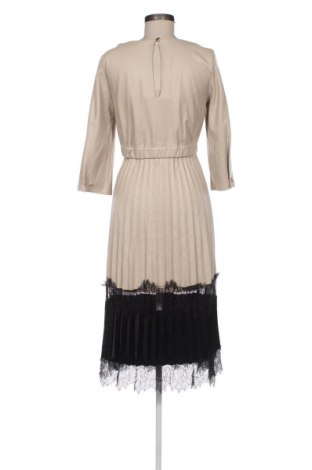 Kleid Zara, Größe S, Farbe Mehrfarbig, Preis € 21,99