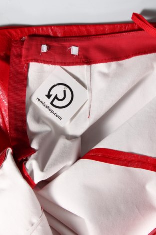 Δερμάτινη φούστα Max&Co., Μέγεθος M, Χρώμα Κόκκινο, Τιμή 39,43 €
