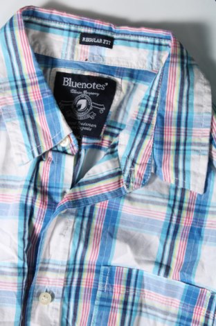 Herrenhemd Bluenotes, Größe M, Farbe Mehrfarbig, Preis 24,36 €