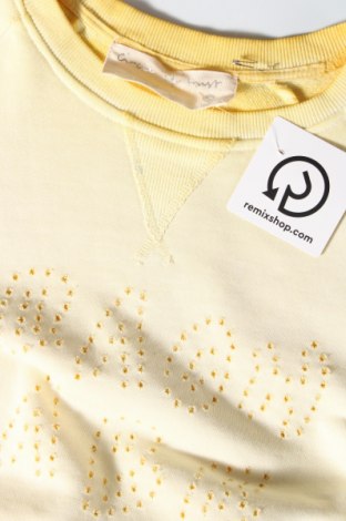 Damen Shirt Circle of  Trust, Größe S, Farbe Gelb, Preis € 6,15