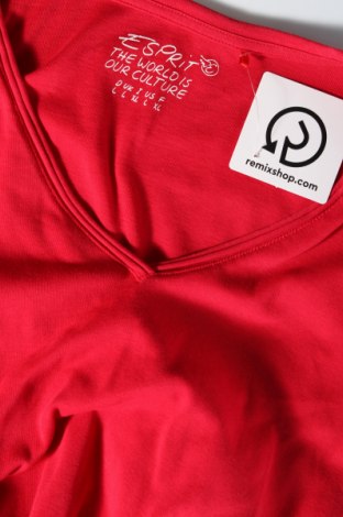 Γυναικεία μπλούζα Esprit, Μέγεθος L, Χρώμα Κόκκινο, Τιμή 14,85 €