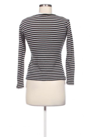 Γυναικεία μπλούζα Pieszak, Μέγεθος M, Χρώμα Πολύχρωμο, Τιμή 8,35 €