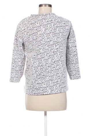 Damen Shirt Zara, Größe S, Farbe Mehrfarbig, Preis € 2,78