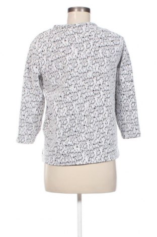 Damen Shirt Zara, Größe S, Farbe Mehrfarbig, Preis € 13,92