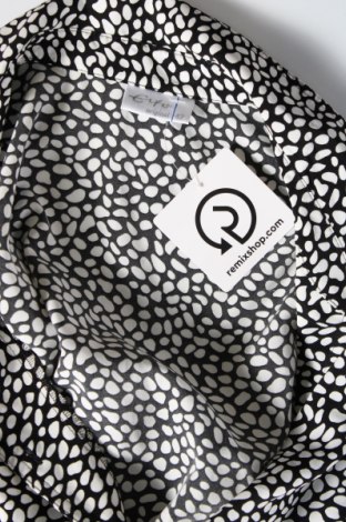 Γυναικείο πουκάμισο Erfo, Μέγεθος L, Χρώμα Πολύχρωμο, Τιμή 3,81 €