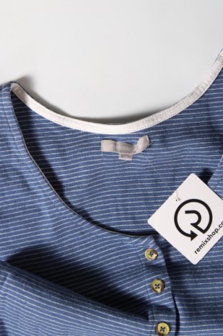 Dámska košeľa  Fisherfield, Veľkosť S, Farba Modrá, Cena  12,83 €