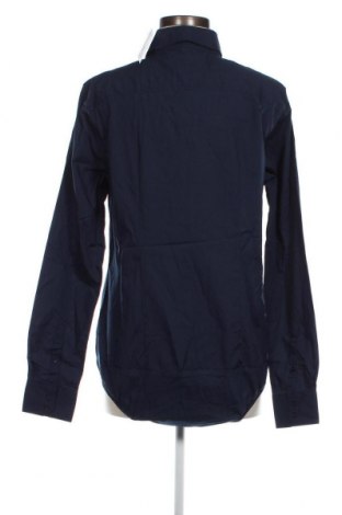 Γυναικείο πουκάμισο-κορμάκι Piazza Italia, Μέγεθος XL, Χρώμα Μπλέ, Τιμή 16,70 €