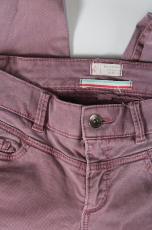 Damen Jeans Esprit, Größe XS, Farbe Lila, Preis € 14,84
