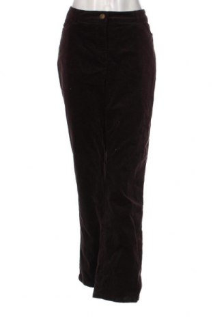 Pantaloni de velvet de femei Canda, Mărime M, Culoare Maro, Preț 19,08 Lei