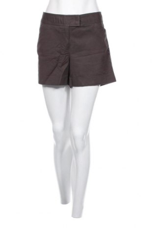 Дамски къс панталон Ann Taylor, Размер XL, Цвят Сив, Цена 6,80 лв.