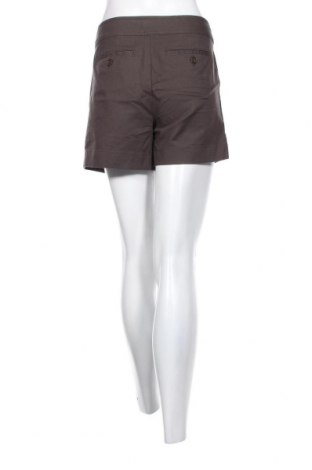 Damen Shorts Ann Taylor, Größe XL, Farbe Grau, Preis 4,73 €