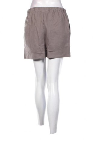 Γυναικείο κοντό παντελόνι Threadbare, Μέγεθος L, Χρώμα Γκρί, Τιμή 15,98 €