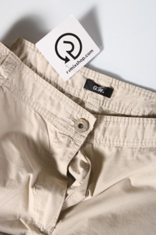Γυναικείο παντελόνι G.W., Μέγεθος XL, Χρώμα  Μπέζ, Τιμή 6,97 €