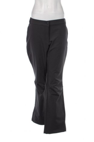 Γυναίκειο παντελόνι για χειμερινά σπορ, Μέγεθος XL, Χρώμα Γκρί, Τιμή 16,24 €
