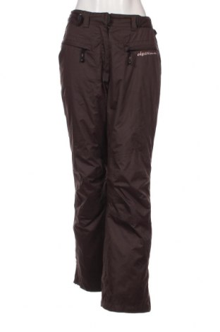 Γυναίκειο παντελόνι για χειμερινά σπορ Rodeo, Μέγεθος S, Χρώμα Καφέ, Τιμή 13,92 €