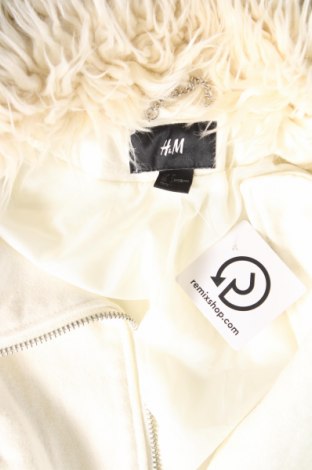 Γυναικείο παλτό H&M, Μέγεθος S, Χρώμα Εκρού, Τιμή 23,17 €