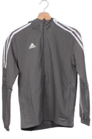 Kinder Sweatshirts Adidas, Größe 11-12y/ 152-158 cm, Farbe Grau, Preis 34,61 €