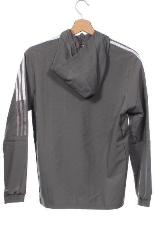 Kinder Sweatshirts Adidas, Größe 11-12y/ 152-158 cm, Farbe Grau, Preis 34,61 €