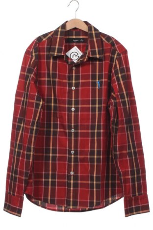 Ανδρικό πουκάμισο Bossini, Μέγεθος S, Χρώμα Πολύχρωμο, Τιμή 4,60 €