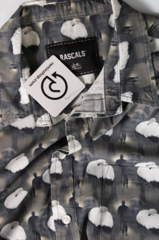Herrenhemd Rascal, Größe L, Farbe Mehrfarbig, Preis € 19,85