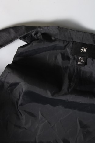 Ανδρικό γιλέκο H&M, Μέγεθος M, Χρώμα Γκρί, Τιμή 8,18 €