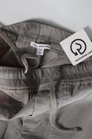 Ανδρικό παντελόνι James Perse, Μέγεθος S, Χρώμα Γκρί, Τιμή 60,62 €