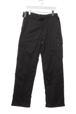 Ανδρικό παντελόνι για χειμερινά σπορ, Μέγεθος S, Χρώμα Γκρί, Τιμή 9,20 €