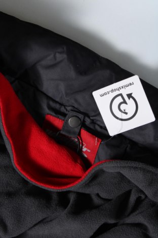 Ανδρικό μπουφάν TCM, Μέγεθος XL, Χρώμα Γκρί, Τιμή 17,26 €