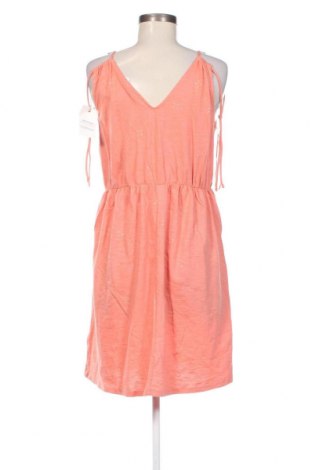 Φόρεμα Bonobo, Μέγεθος XL, Χρώμα  Μπέζ, Τιμή 21,03 €