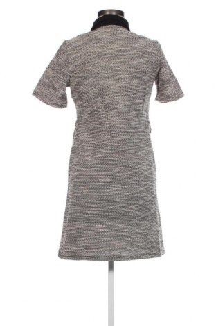 Kleid Next, Größe S, Farbe Mehrfarbig, Preis 52,58 €
