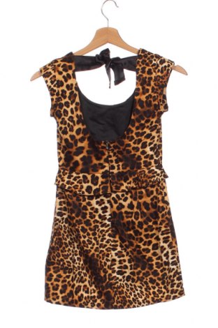 Kleid Zara Trafaluc, Größe XS, Farbe Mehrfarbig, Preis € 12,28