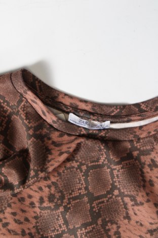 Šaty  Zara Trafaluc, Velikost S, Barva Vícebarevné, Cena  96,00 Kč