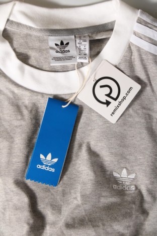 Damen Shirt Adidas, Größe L, Farbe Grau, Preis € 43,67