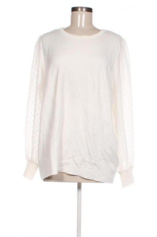 Damen Shirt Dorothy Perkins, Größe XXL, Farbe Weiß, Preis 14,00 €