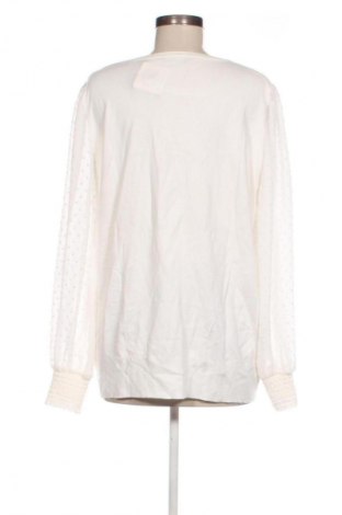 Damen Shirt Dorothy Perkins, Größe XXL, Farbe Weiß, Preis 14,00 €