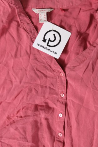 Damen Shirt Esprit, Größe S, Farbe Rosa, Preis 23,99 €